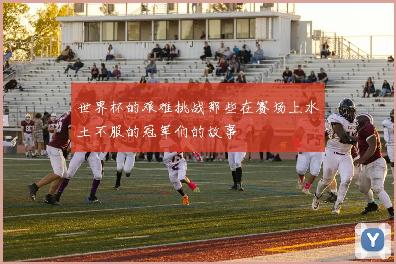 世界杯的艰难挑战那些在赛场上水土不服的冠军们的故事